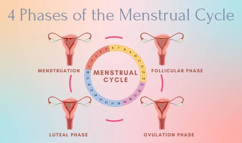 hypnotherapy for women hormonal cycle phases